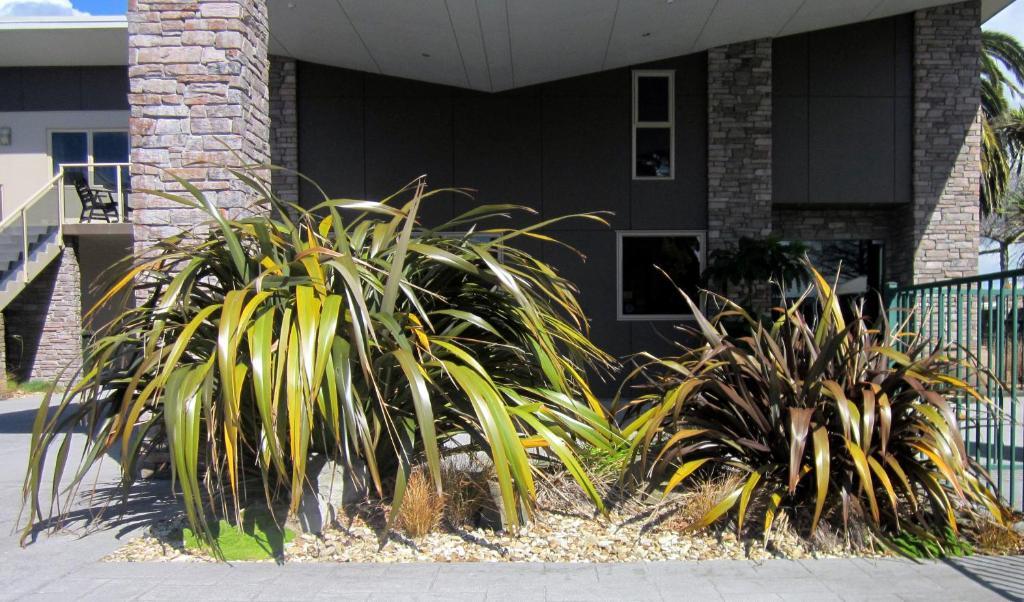 Stay 284 Rotorua - Refurbished Modern Accommodation Exterior photo